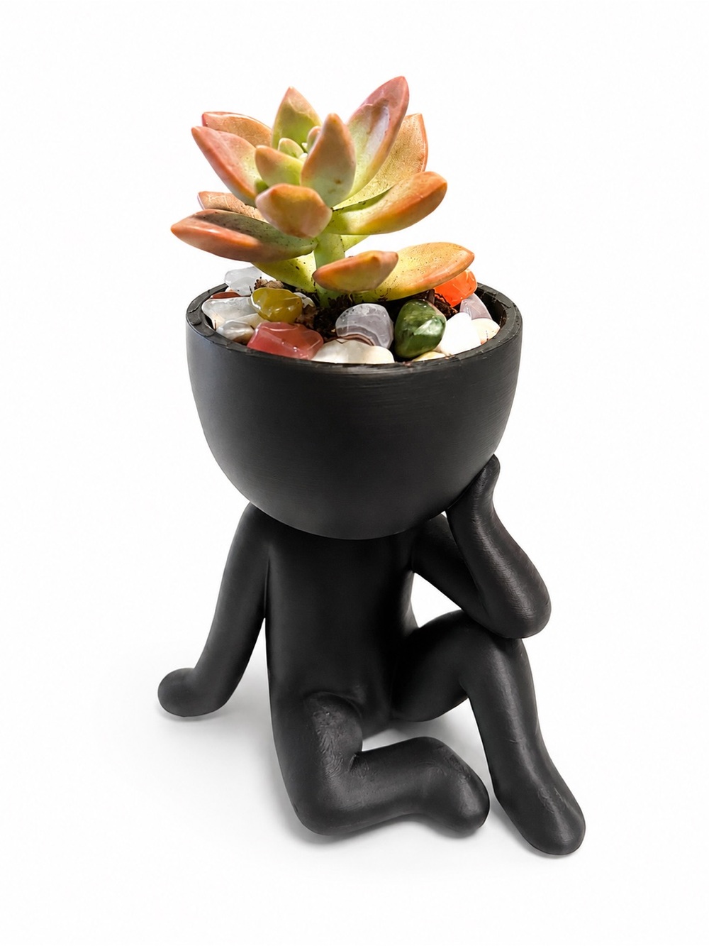 Black Ceramic Thinker Planter with Orange-Green Succulent -